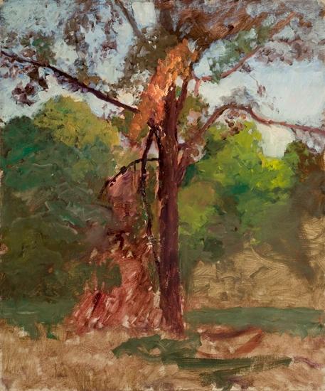 WikiOO.org - Encyclopedia of Fine Arts - Maalaus, taideteos Theodore Clement Steele - A Tree