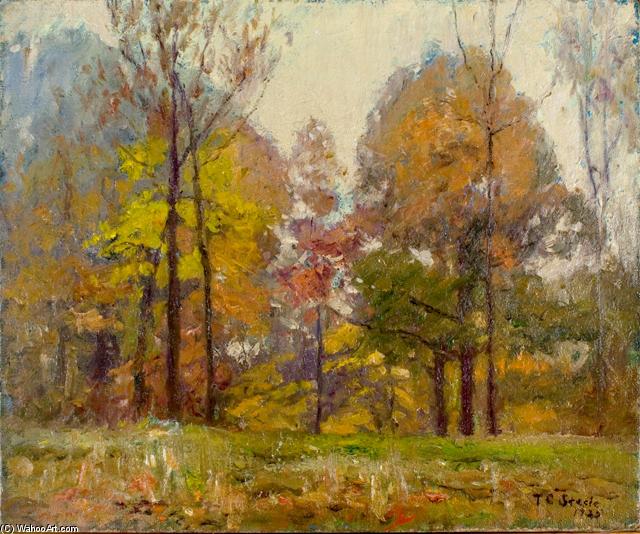 WikiOO.org - Encyclopedia of Fine Arts - Festés, Grafika Theodore Clement Steele - An October Day (Autumn)