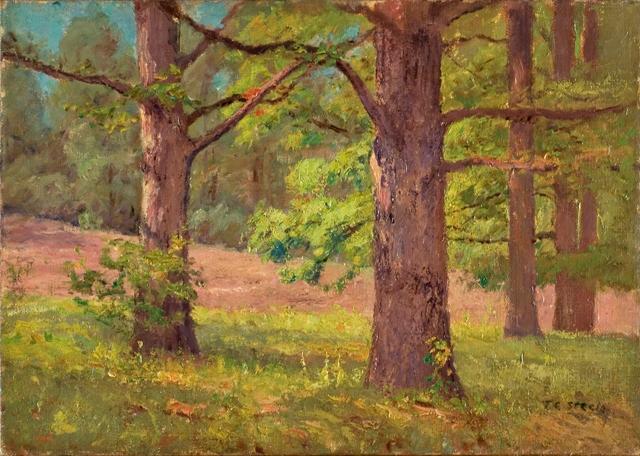 Wikioo.org - The Encyclopedia of Fine Arts - Painting, Artwork by Theodore Clement Steele - Between the Oak Trees (The Big Oaks)