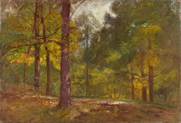 Wikioo.org - The Encyclopedia of Fine Arts - Painting, Artwork by Theodore Clement Steele - Golden Autumn