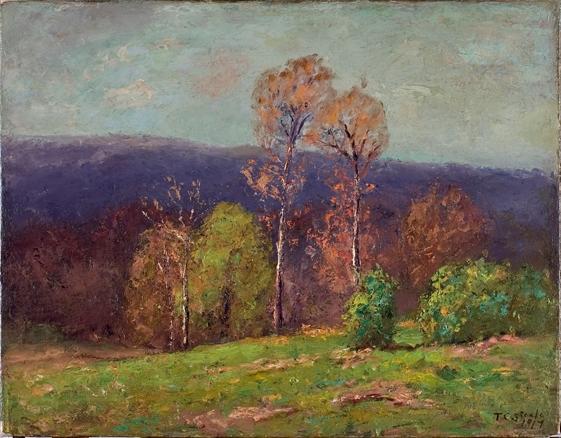 Wikioo.org - The Encyclopedia of Fine Arts - Painting, Artwork by Theodore Clement Steele - Mountain Ridge in the Distance (Cloud Shadows)