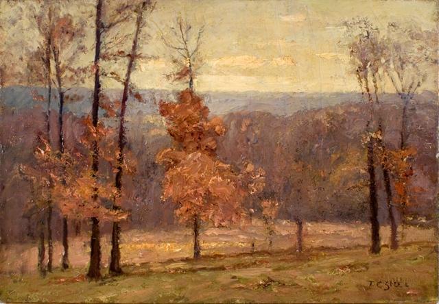 Wikioo.org – La Enciclopedia de las Bellas Artes - Pintura, Obras de arte de Theodore Clement Steele - november` día en el colinas