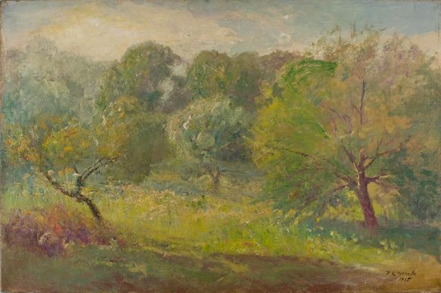 Wikioo.org - The Encyclopedia of Fine Arts - Painting, Artwork by Theodore Clement Steele - Springtime in the Orchard