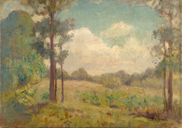 Wikioo.org – La Enciclopedia de las Bellas Artes - Pintura, Obras de arte de Theodore Clement Steele - el claro bajo verano `skies`