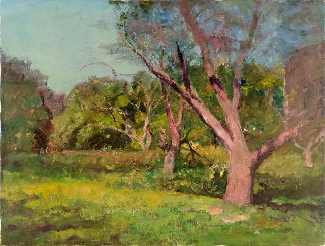 Wikioo.org - The Encyclopedia of Fine Arts - Painting, Artwork by Theodore Clement Steele - The Old Orchard