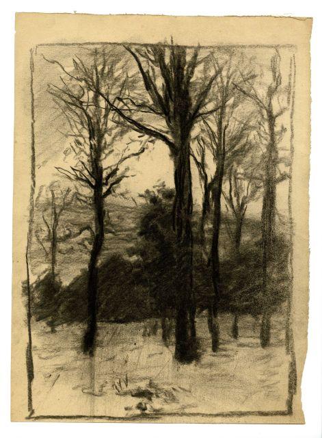 Wikioo.org - The Encyclopedia of Fine Arts - Painting, Artwork by Theodore Clement Steele - Trees in winter