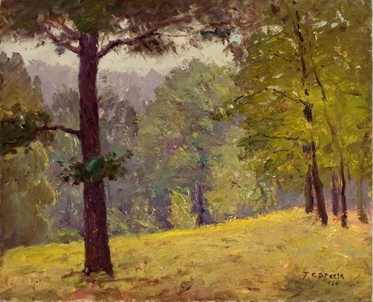 Wikioo.org - สารานุกรมวิจิตรศิลป์ - จิตรกรรม Theodore Clement Steele - Untitled (Heavily Wooded Slope)