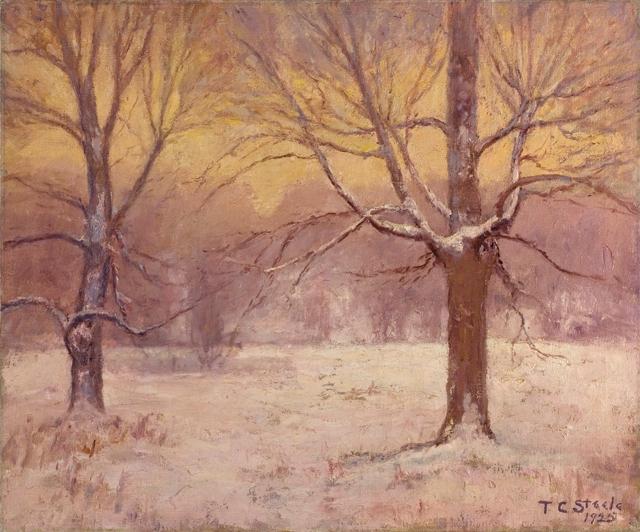 Wikioo.org - The Encyclopedia of Fine Arts - Painting, Artwork by Theodore Clement Steele - Winter Afternoon, Jordan Field