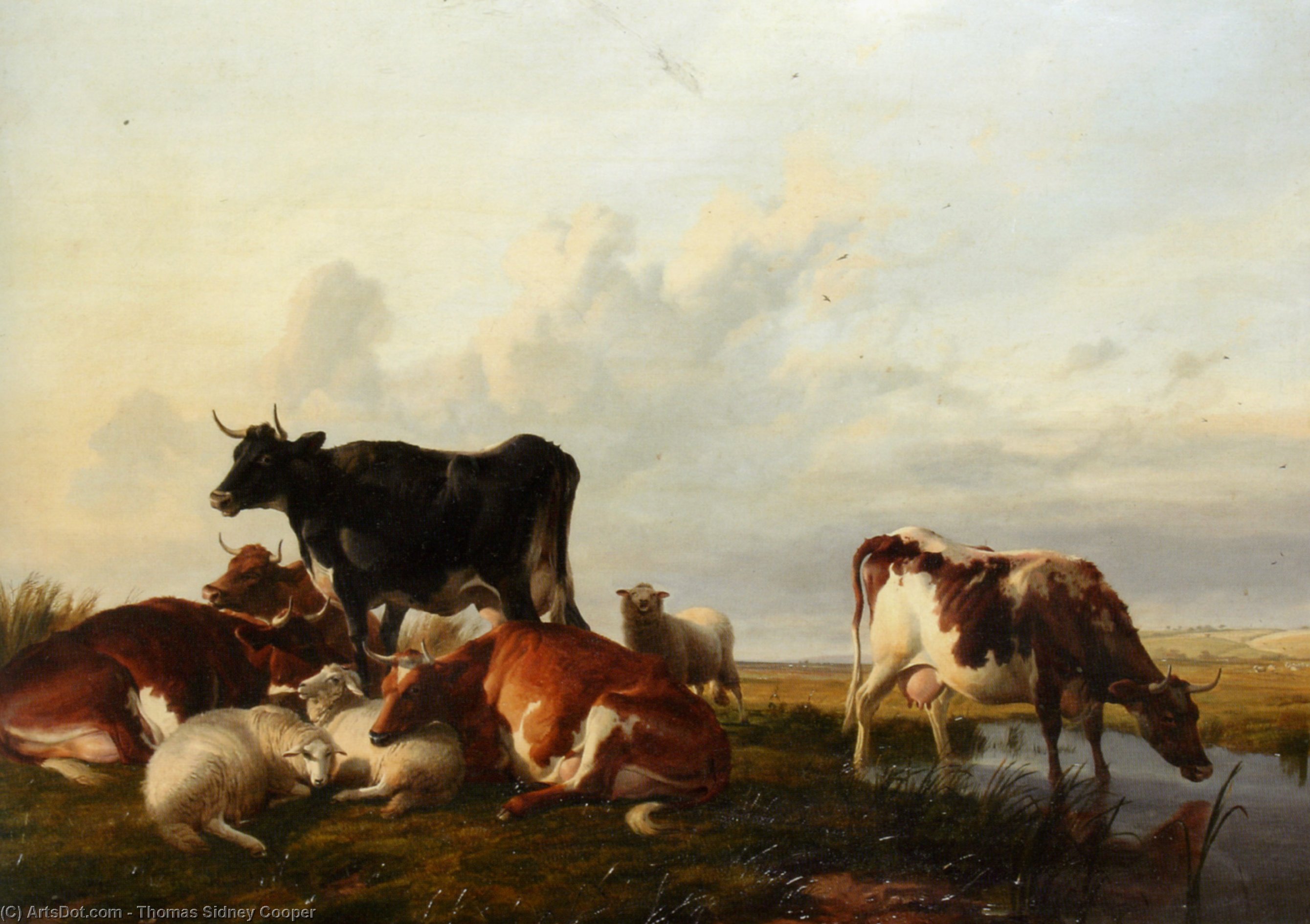 Wikioo.org - The Encyclopedia of Fine Arts - Painting, Artwork by Thomas Sidney Cooper - Cattle and Sheep Probably in Canterbury Meadows