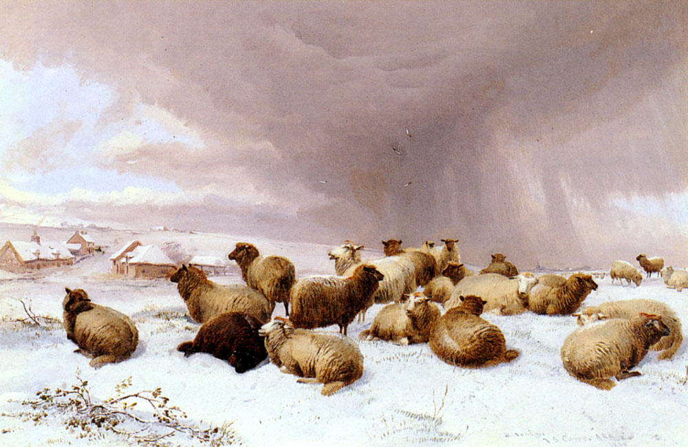 Wikioo.org - The Encyclopedia of Fine Arts - Painting, Artwork by Thomas Sidney Cooper - Sheep In Winter