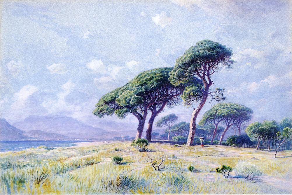 Wikioo.org - The Encyclopedia of Fine Arts - Painting, Artwork by William Stanley Haseltine - Cannes