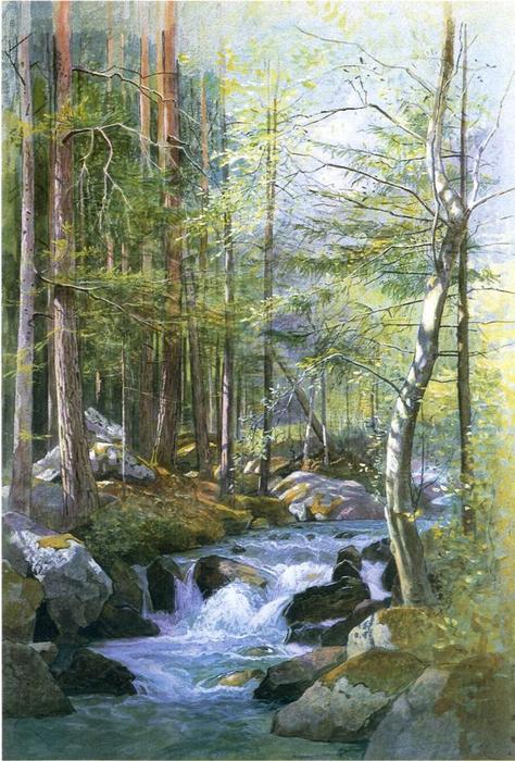Wikioo.org - The Encyclopedia of Fine Arts - Painting, Artwork by William Stanley Haseltine - Torrent in Wood behind Mill Dam, Vahrn near Brixen, Tyrol