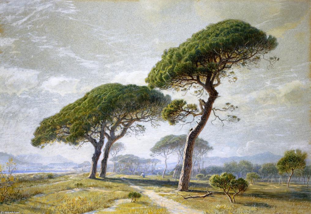 Wikioo.org - The Encyclopedia of Fine Arts - Painting, Artwork by William Stanley Haseltine - View of Cannes with Parasol Pines