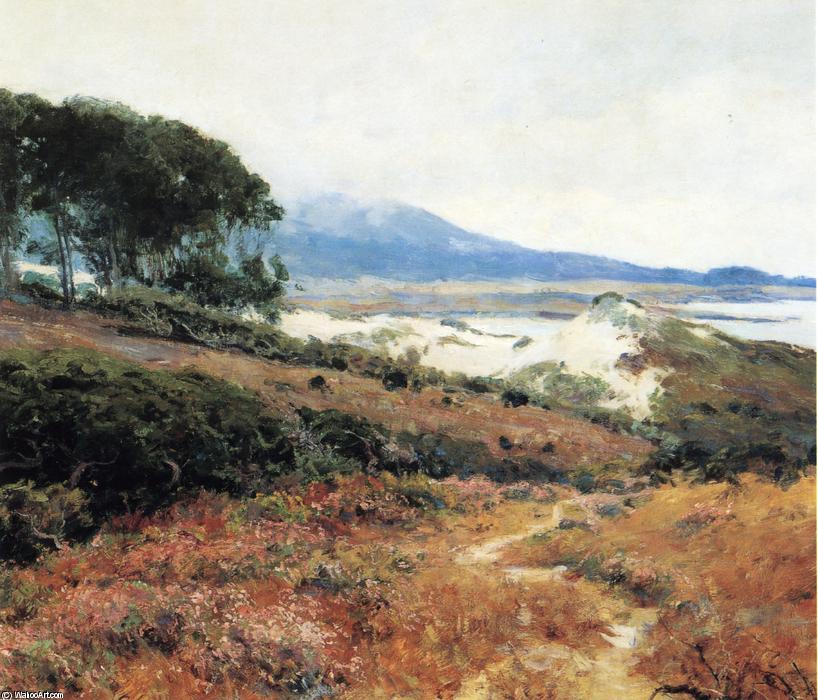Wikioo.org - The Encyclopedia of Fine Arts - Painting, Artwork by Guy Orlando Rose - Carmel Dunes