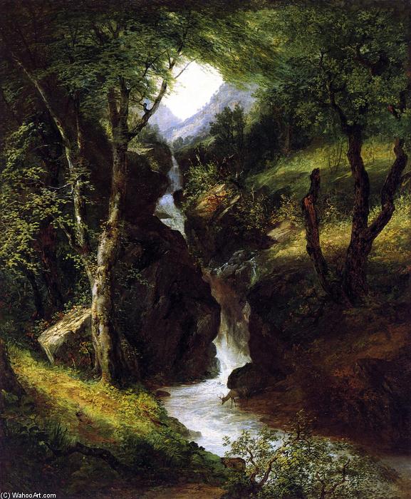 Wikioo.org - The Encyclopedia of Fine Arts - Painting, Artwork by John Frederick Kensett - Cascade in the Forest
