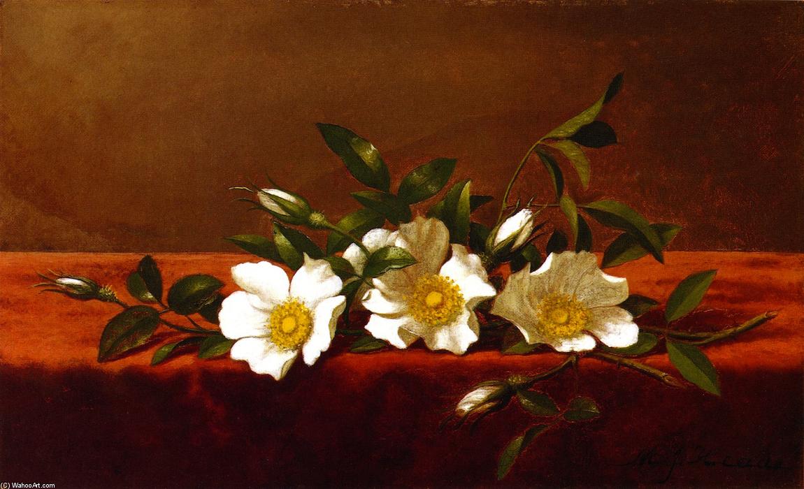 Wikioo.org - สารานุกรมวิจิตรศิลป์ - จิตรกรรม Martin Johnson Heade - Cherokee Roses