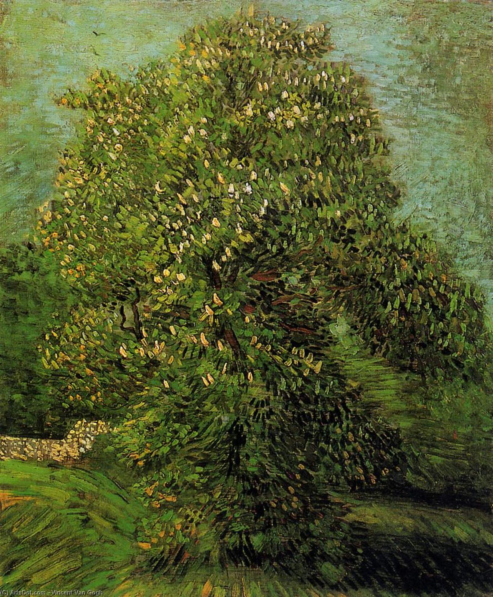 Wikioo.org - The Encyclopedia of Fine Arts - Painting, Artwork by Vincent Van Gogh - Chestnut Tree in Bloom