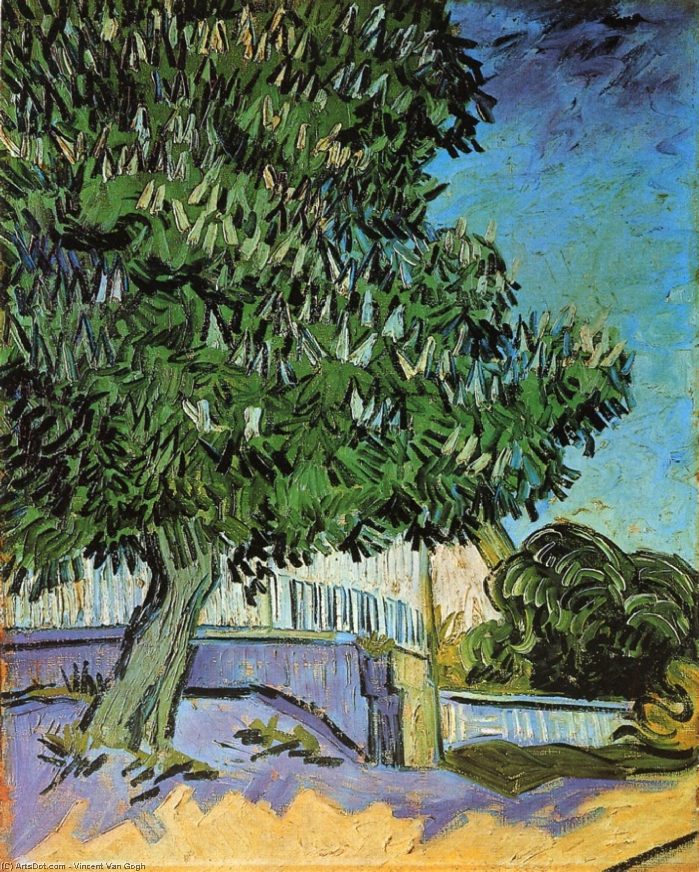 WikiOO.org - Enciclopédia das Belas Artes - Pintura, Arte por Vincent Van Gogh - Chestnut Trees in Bloom