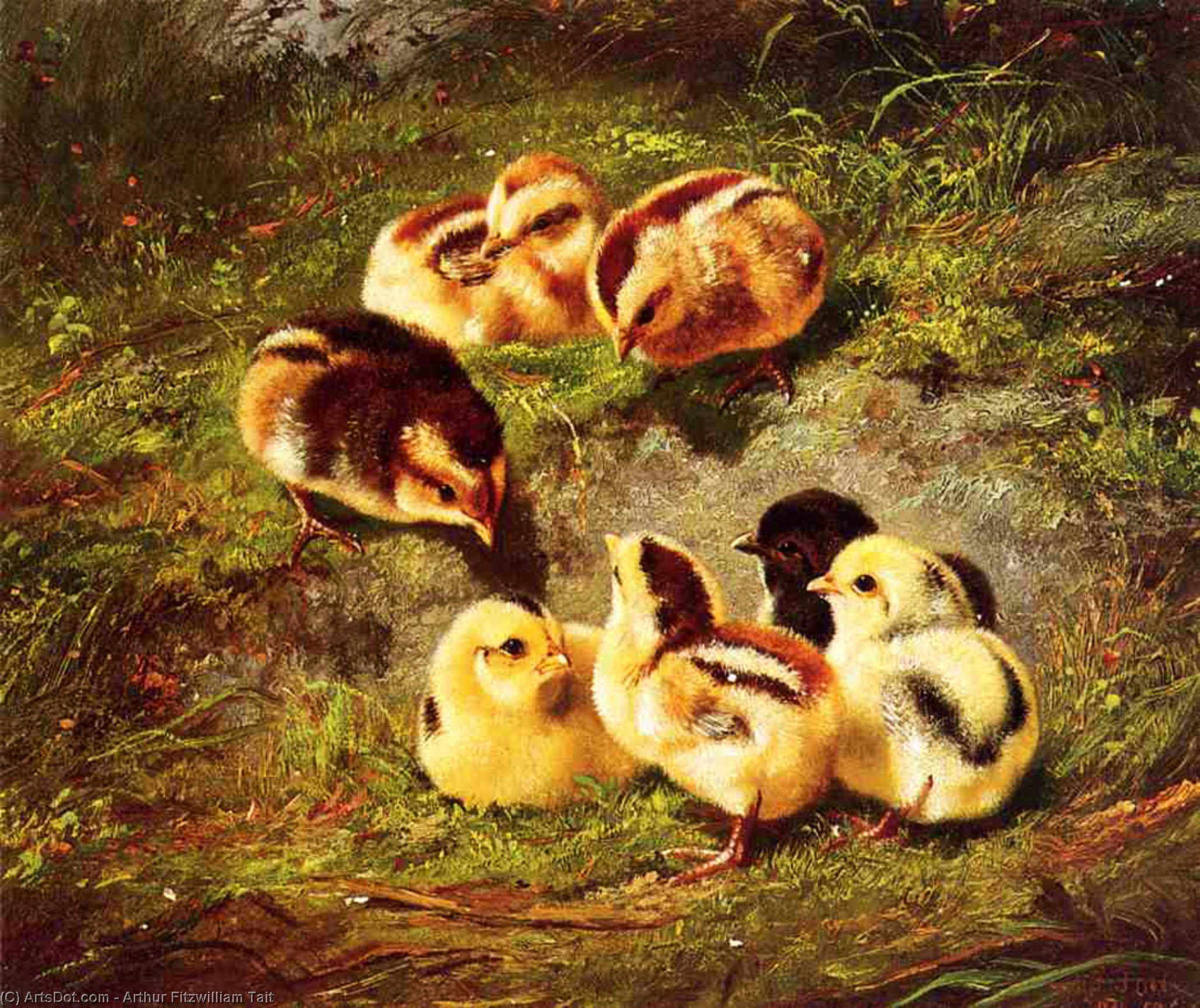 Wikioo.org - The Encyclopedia of Fine Arts - Painting, Artwork by Arthur Fitzwilliam Tait - Chickens