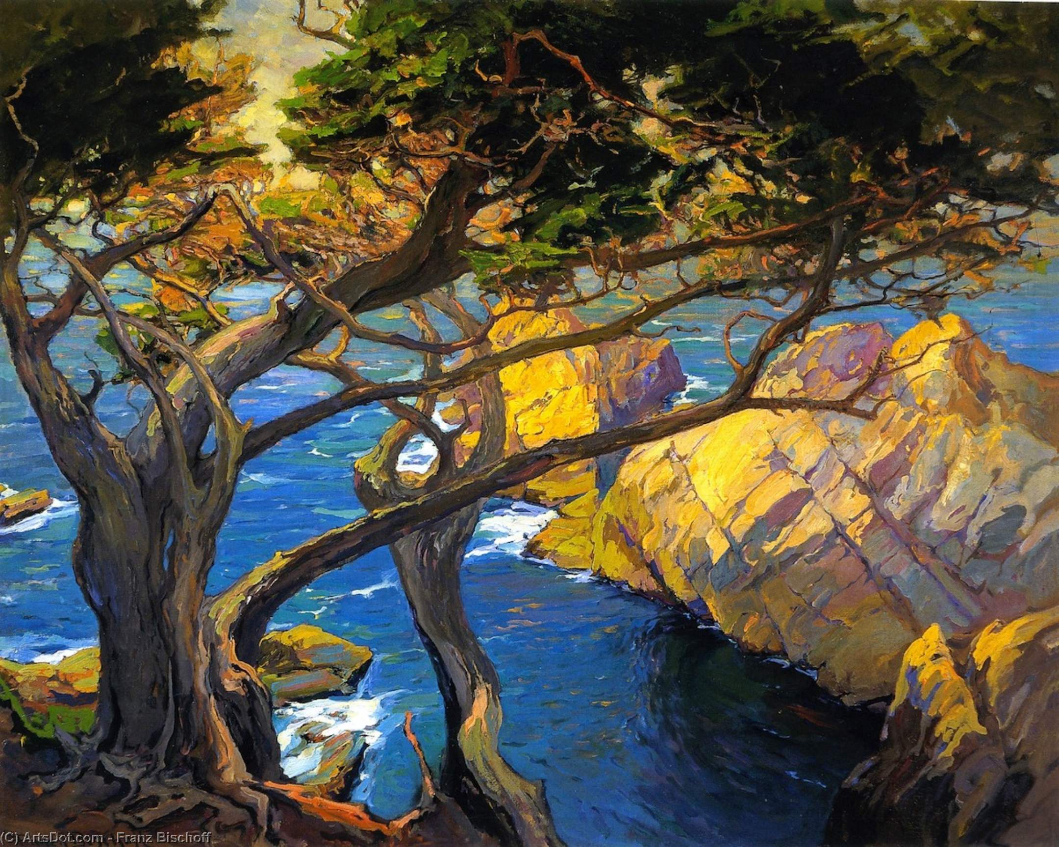 Wikioo.org - สารานุกรมวิจิตรศิลป์ - จิตรกรรม Franz Bischoff - Cleft-Born Trees, Monterey