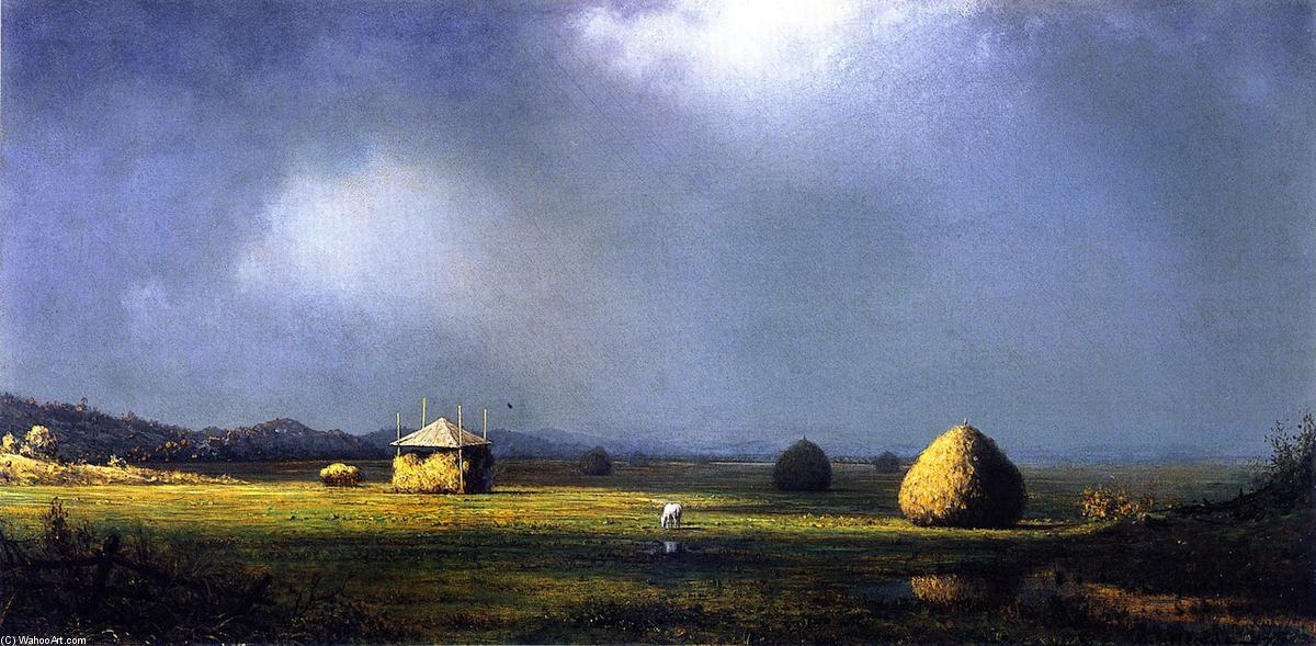 Wikioo.org - The Encyclopedia of Fine Arts - Painting, Artwork by Martin Johnson Heade - A Cloudy Day