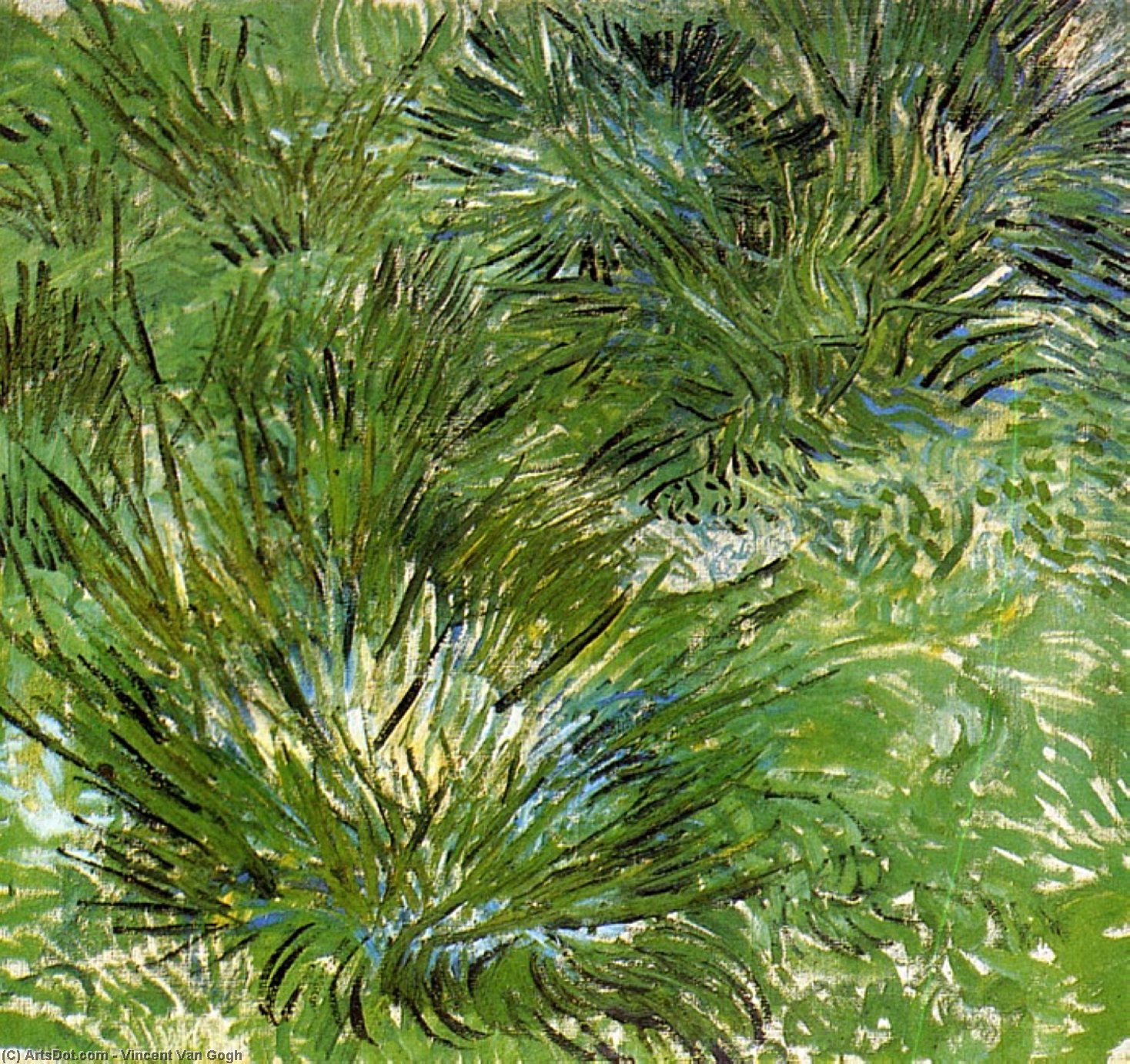WikiOO.org - Encyclopedia of Fine Arts - Maleri, Artwork Vincent Van Gogh - Clumps of Grass