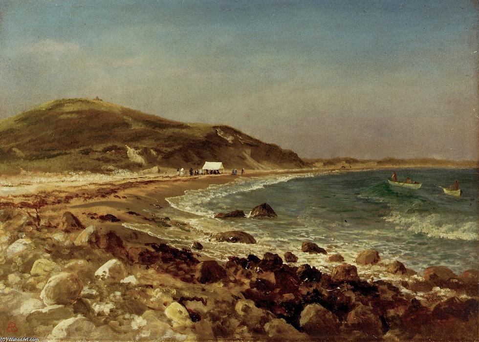 Wikioo.org - The Encyclopedia of Fine Arts - Painting, Artwork by Albert Bierstadt - Coastal Scene