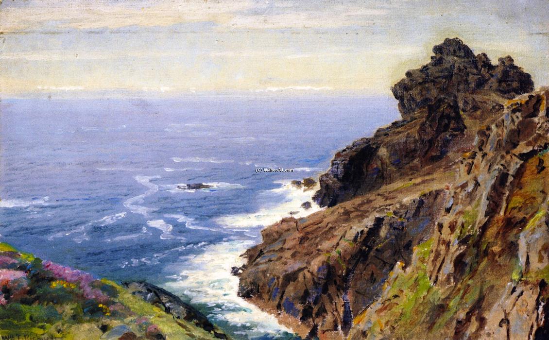 Wikioo.org - The Encyclopedia of Fine Arts - Painting, Artwork by William Trost Richards - Coast near Boscastle, Cornwall