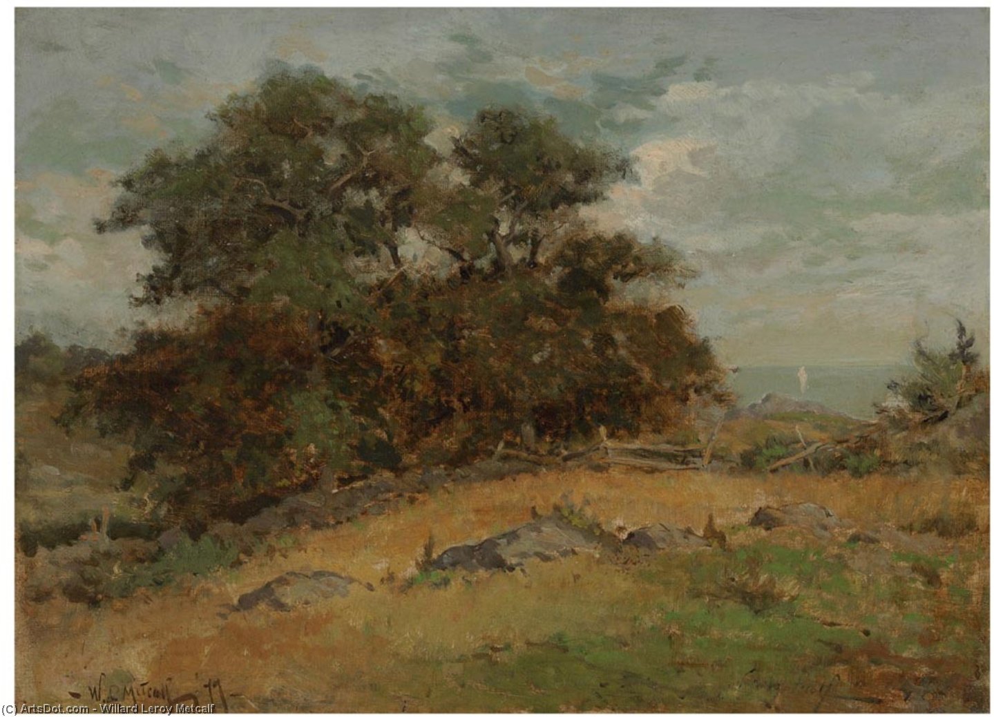 Wikioo.org - The Encyclopedia of Fine Arts - Painting, Artwork by Willard Leroy Metcalf - Coast of Maine