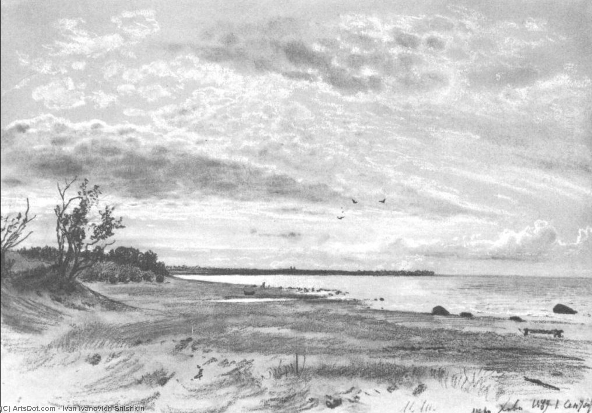 Wikioo.org – L'Enciclopedia delle Belle Arti - Pittura, Opere di Ivan Ivanovich Shishkin - Costa di un mare , Mery-Hovy