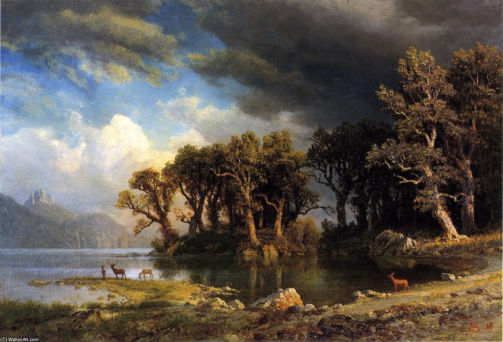 Wikioo.org - The Encyclopedia of Fine Arts - Painting, Artwork by Albert Bierstadt - The Coming Storm