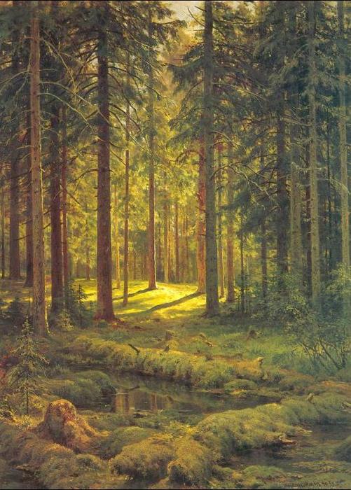 Wikioo.org - The Encyclopedia of Fine Arts - Painting, Artwork by Ivan Ivanovich Shishkin - Coniferous forest. Sunny day