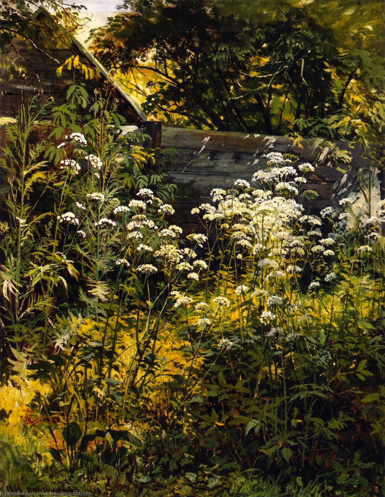 Wikioo.org - The Encyclopedia of Fine Arts - Painting, Artwork by Ivan Ivanovich Shishkin - Corner of an Overgrown Garden