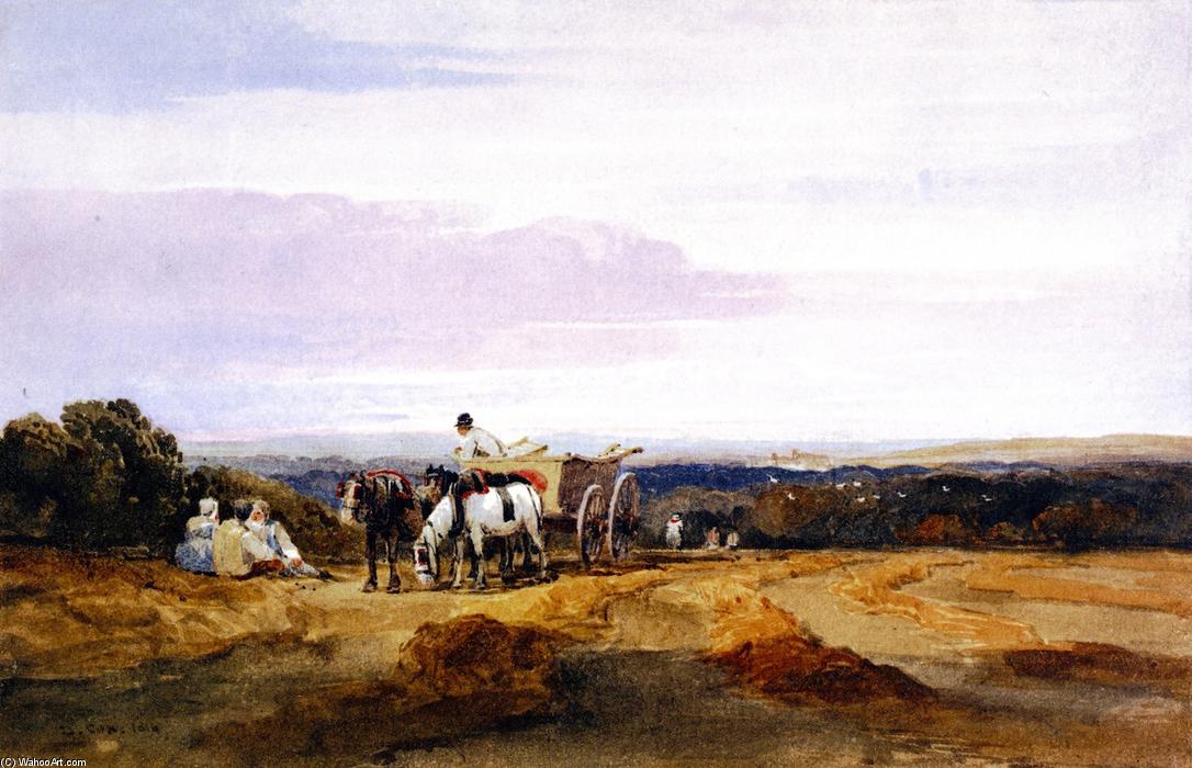 Wikioo.org - The Encyclopedia of Fine Arts - Painting, Artwork by David Cox - Cornfield