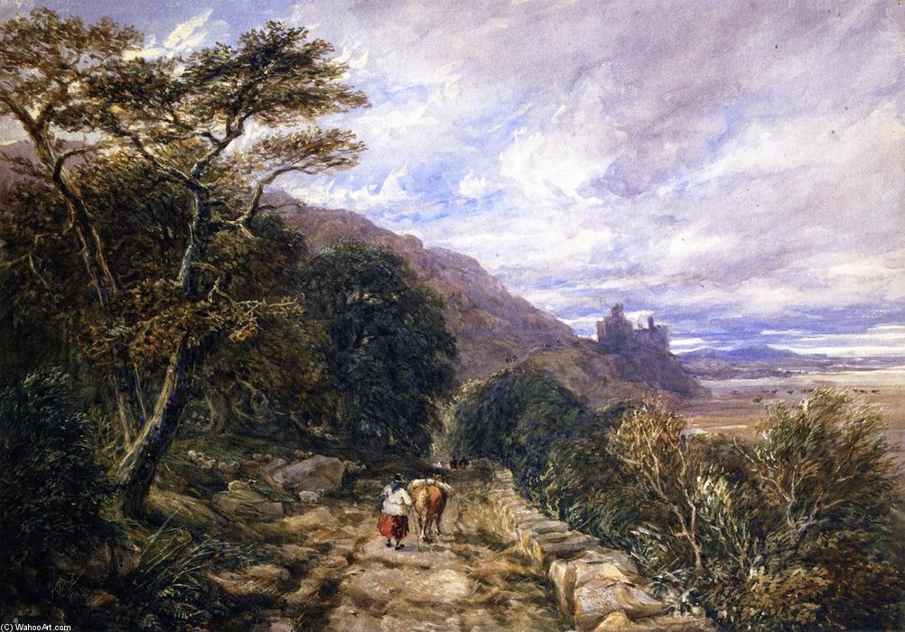 WikiOO.org - Encyclopedia of Fine Arts - Maalaus, taideteos David Cox - A Country Track Leading to Harlech Castle