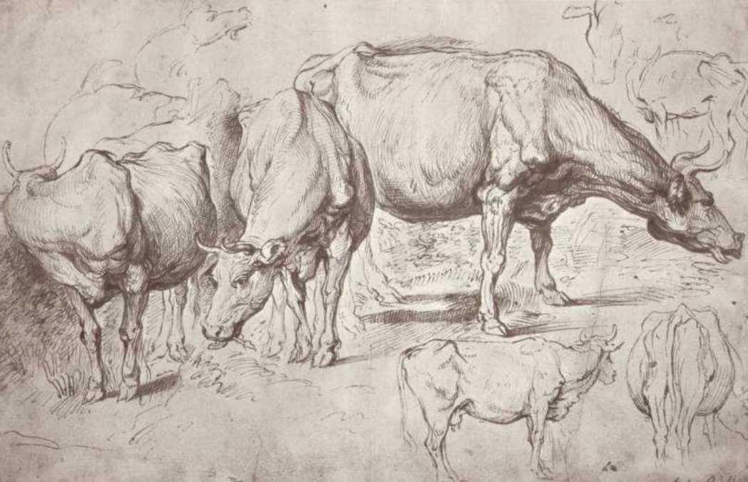 WikiOO.org - Εγκυκλοπαίδεια Καλών Τεχνών - Ζωγραφική, έργα τέχνης Peter Paul Rubens - Cows