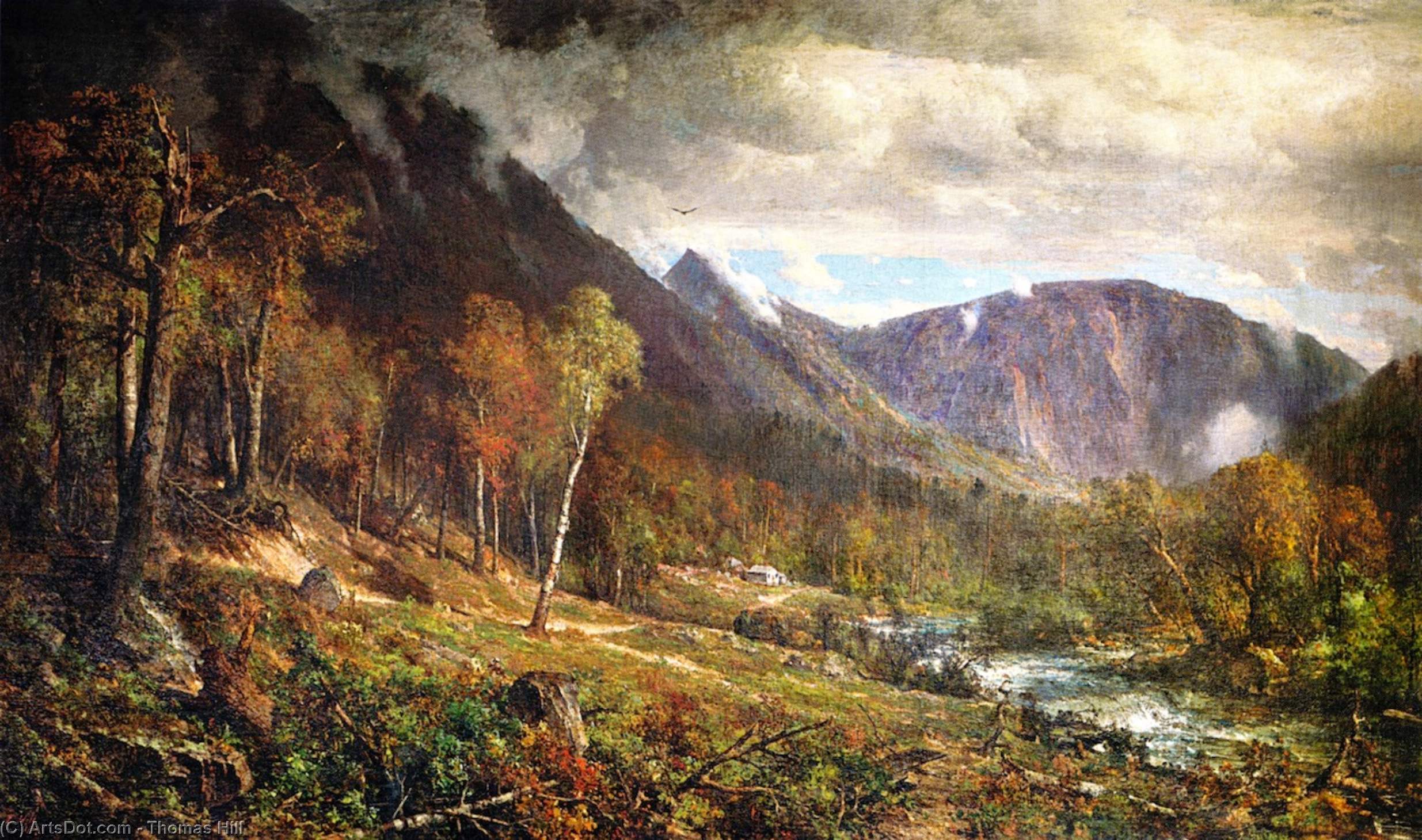 Wikioo.org - The Encyclopedia of Fine Arts - Painting, Artwork by Thomas Hill - Crawford Notch