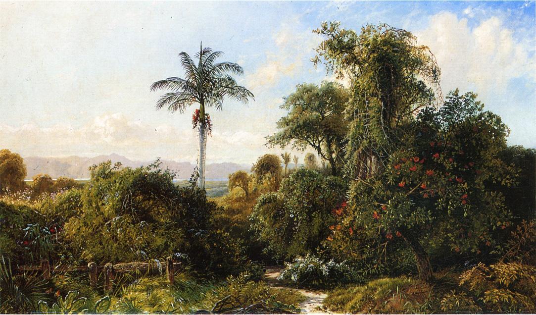 Wikioo.org - The Encyclopedia of Fine Arts - Painting, Artwork by Edmund Darch Lewis - Cuban Landscape