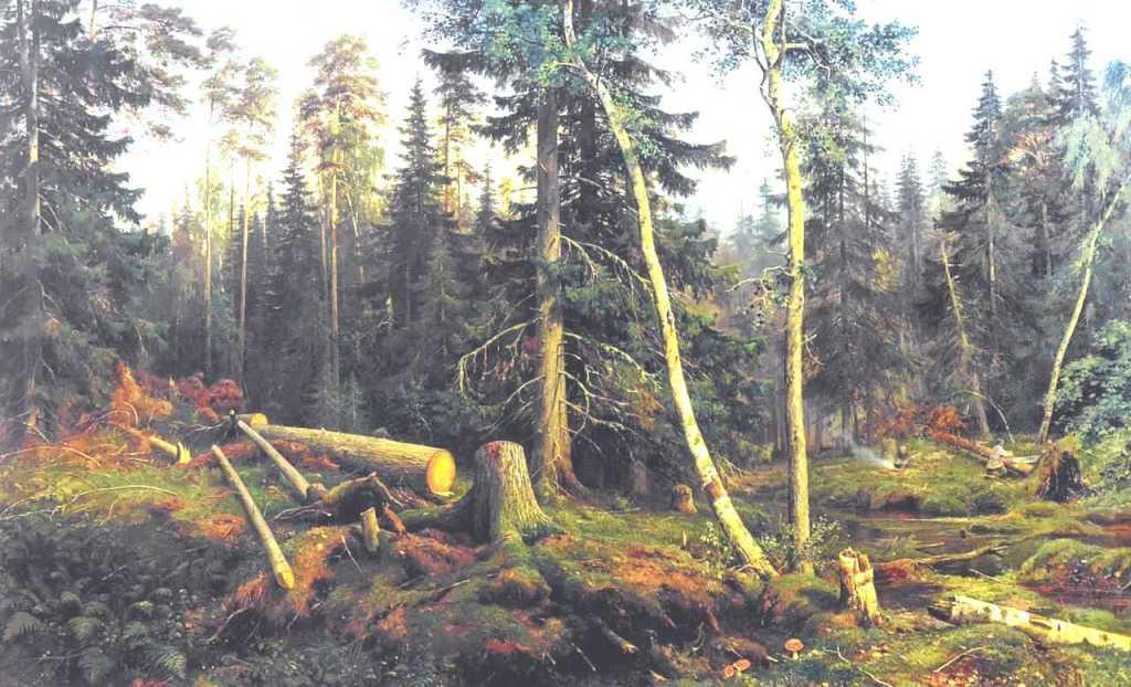 Wikioo.org - The Encyclopedia of Fine Arts - Painting, Artwork by Ivan Ivanovich Shishkin - Cutting of wood