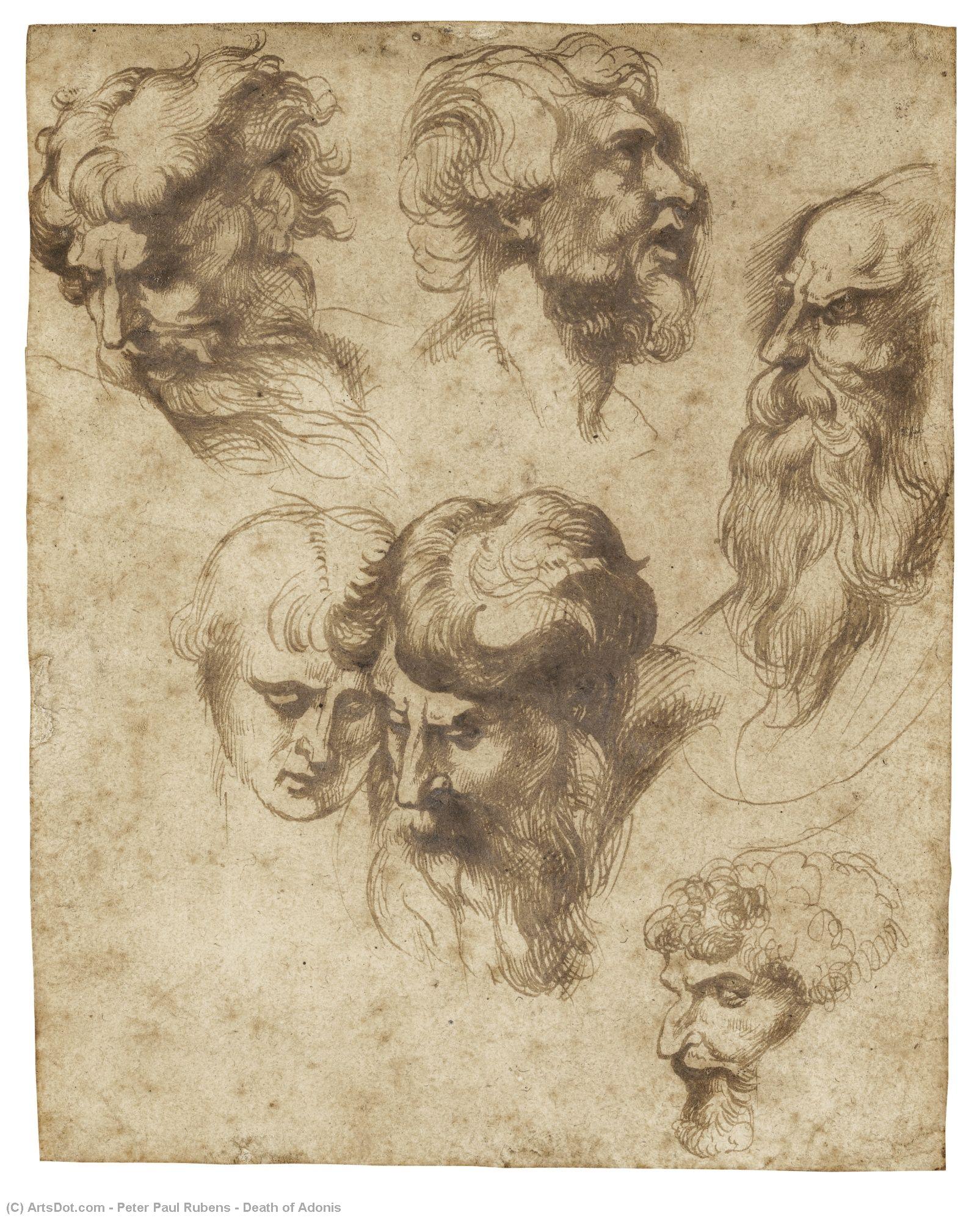 WikiOO.org - Encyclopedia of Fine Arts - Malba, Artwork Peter Paul Rubens - Death of Adonis