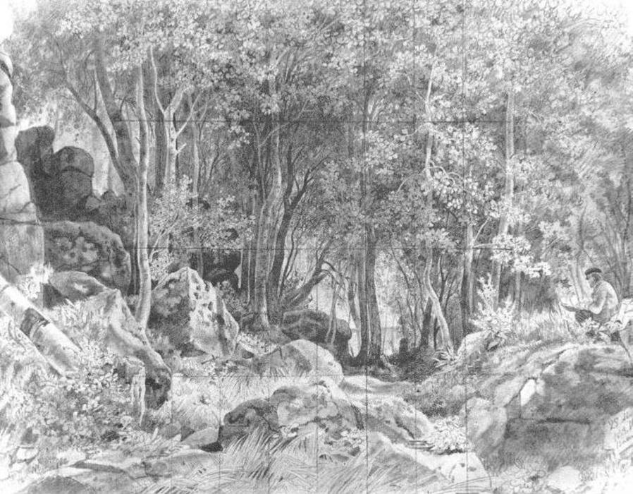 Wikioo.org - The Encyclopedia of Fine Arts - Painting, Artwork by Ivan Ivanovich Shishkin - Deciduous forest on rocky coast, Valaam