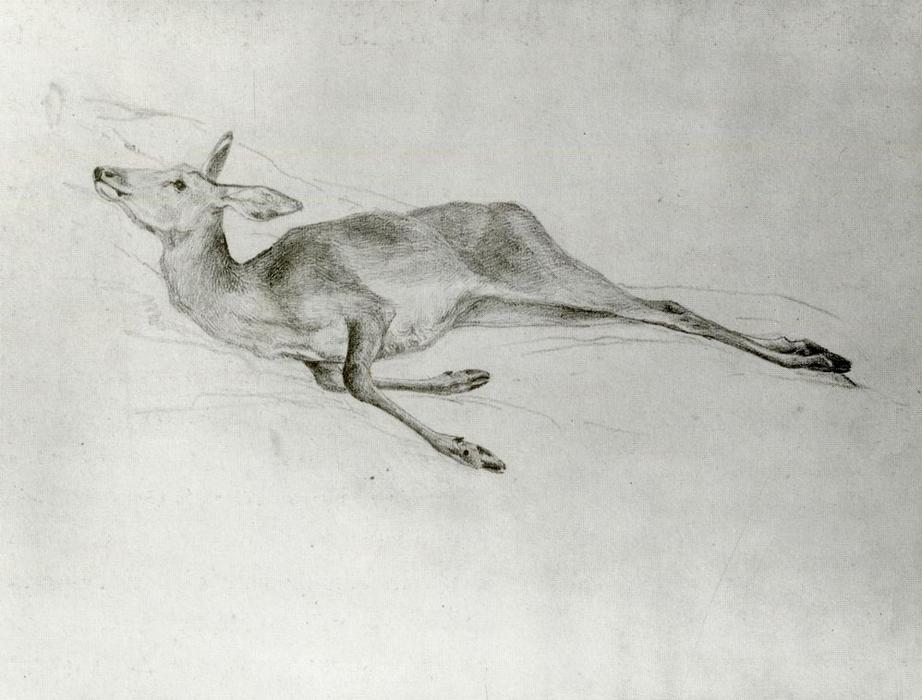 Wikioo.org - Bách khoa toàn thư về mỹ thuật - Vẽ tranh, Tác phẩm nghệ thuật John Singer Sargent - Deer