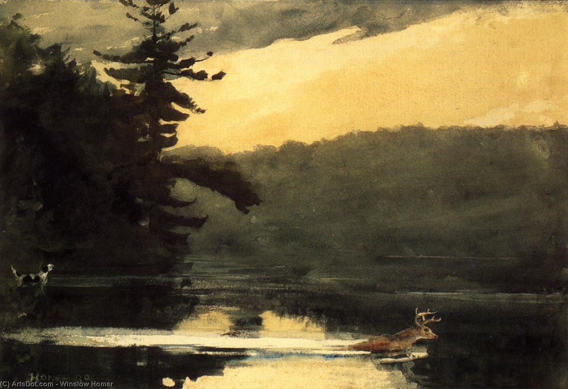 Wikioo.org - The Encyclopedia of Fine Arts - Painting, Artwork by Winslow Homer - Deer in the Adirondacks