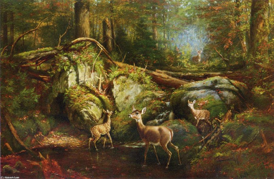 Wikioo.org - The Encyclopedia of Fine Arts - Painting, Artwork by Arthur Fitzwilliam Tait - Deer in the Adirondacks