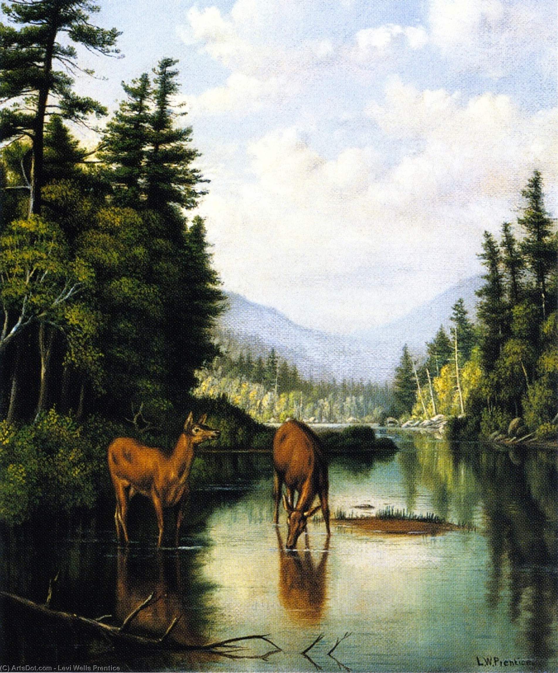 Wikioo.org - The Encyclopedia of Fine Arts - Painting, Artwork by Levi Wells Prentice - Deer in Mountain Brook