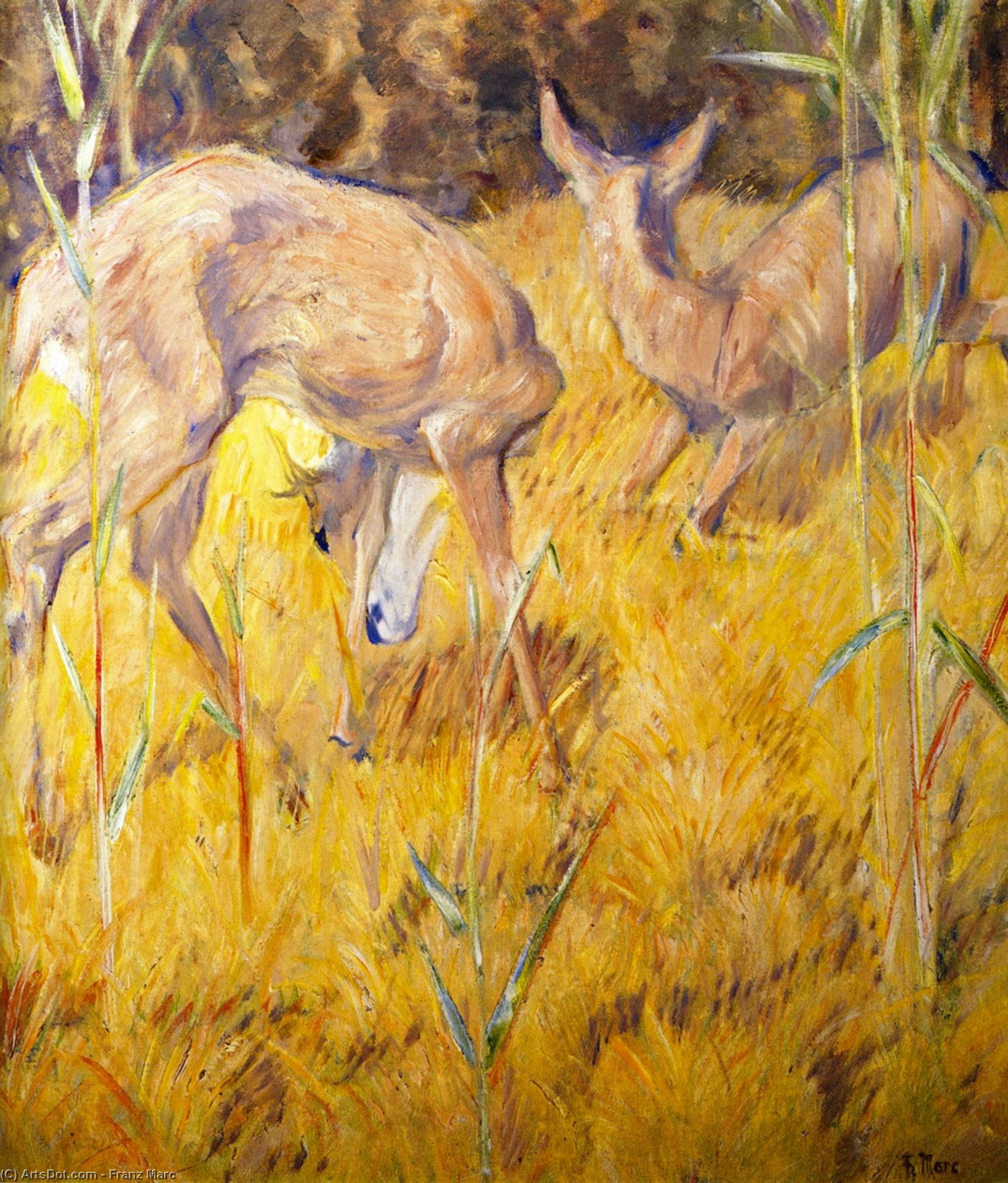 WikiOO.org - Εγκυκλοπαίδεια Καλών Τεχνών - Ζωγραφική, έργα τέχνης Franz Marc - Deer in the Reeds