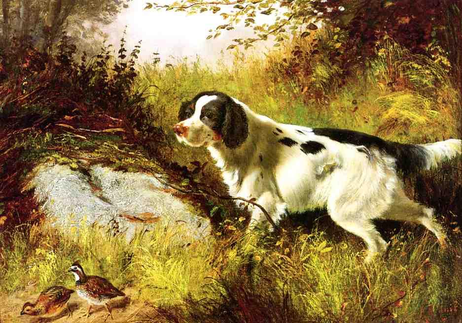 Wikioo.org - The Encyclopedia of Fine Arts - Painting, Artwork by Arthur Fitzwilliam Tait - Dog and Quail