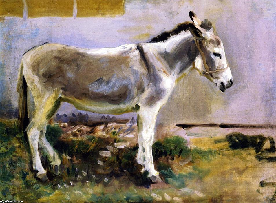 WikiOO.org - Güzel Sanatlar Ansiklopedisi - Resim, Resimler John Singer Sargent - A Donkey