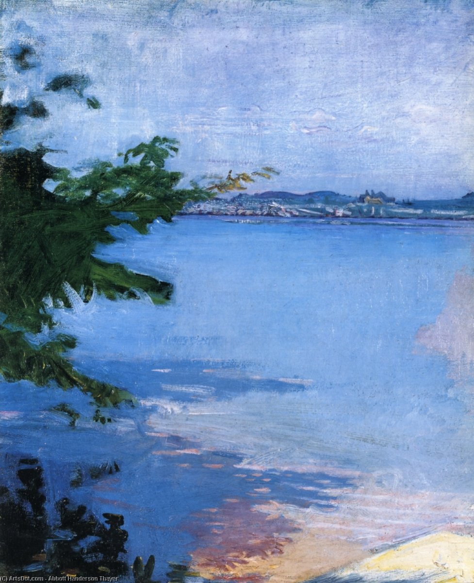Wikioo.org - Bách khoa toàn thư về mỹ thuật - Vẽ tranh, Tác phẩm nghệ thuật Abbott Handerson Thayer - Dublin Pond, New Hampshire