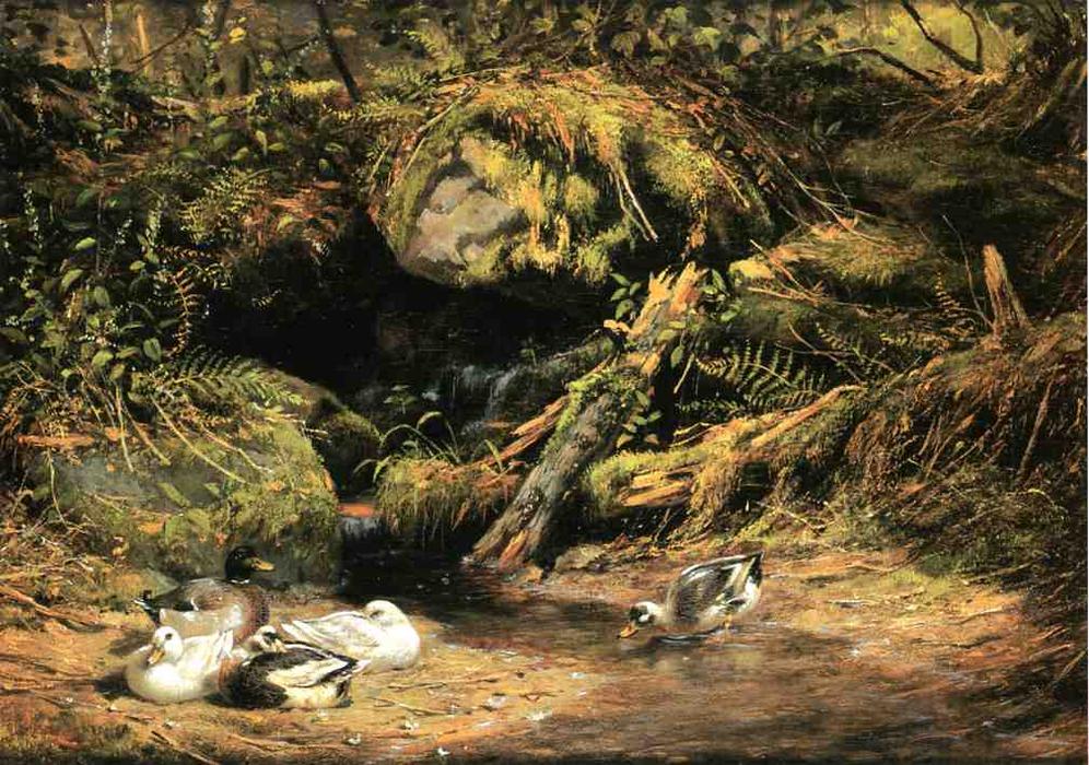 Wikioo.org - The Encyclopedia of Fine Arts - Painting, Artwork by Arthur Fitzwilliam Tait - Ducks at the Spring Head